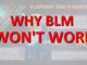 why BLM won't work
