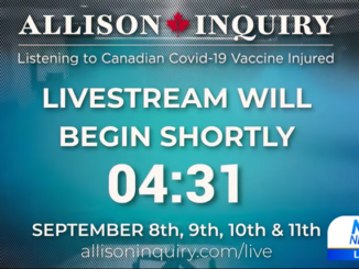 Allison Inquiry image